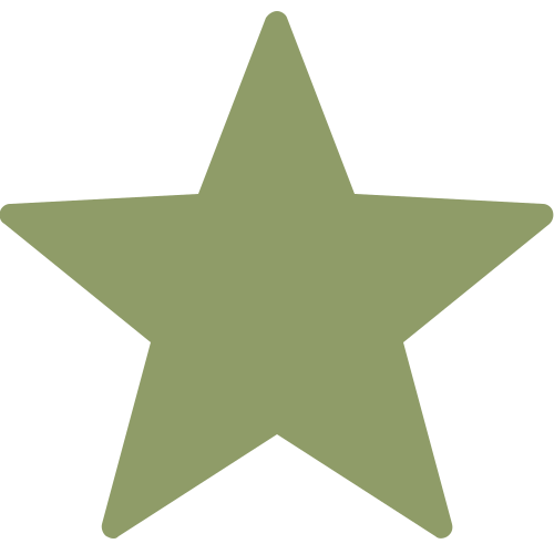 icons8 star 500 1
